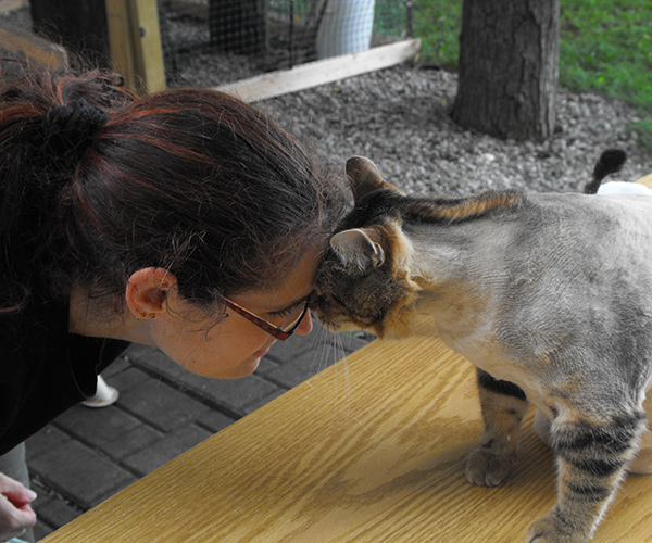 Communication animale - Mélanie Durand