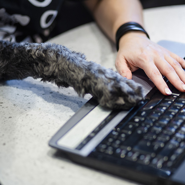 Graphisme - Mélanie Durand